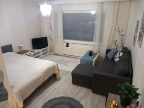 Affordable Apartment, Rovaniemi